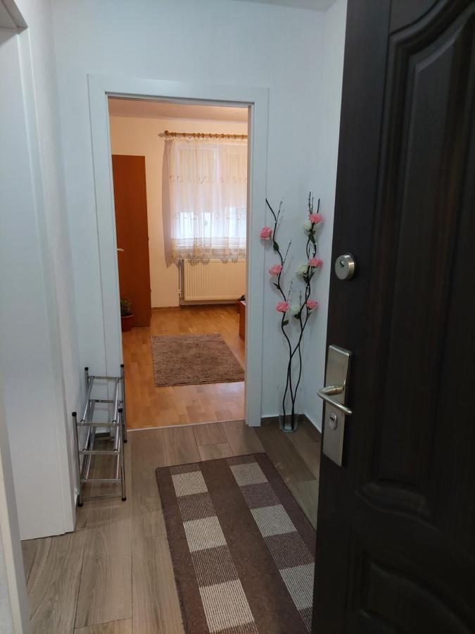 Apartament Ambrus 시기쇼아라 외부 사진