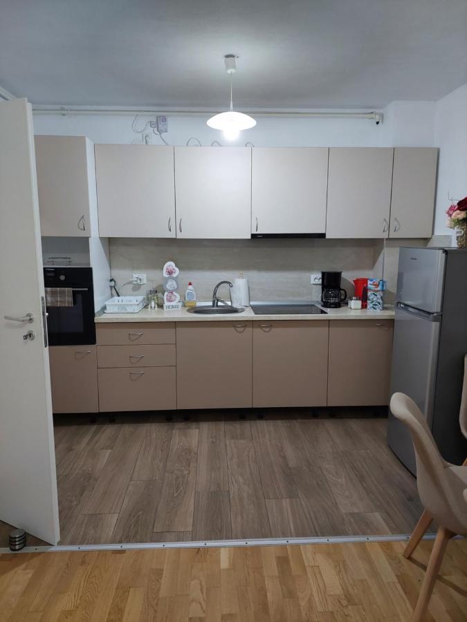 Apartament Ambrus 시기쇼아라 외부 사진