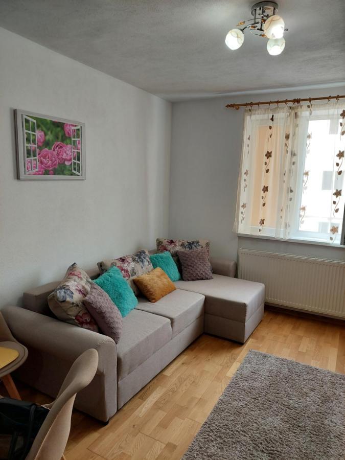 Apartament Ambrus 시기쇼아라 외부 사진