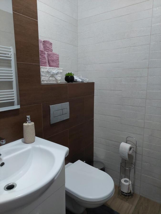 Apartament Ambrus 시기쇼아라 외부 사진