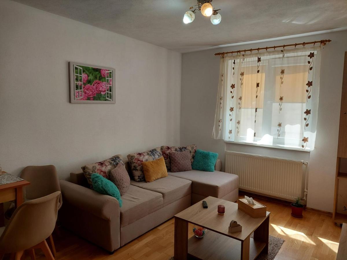 Apartament Ambrus 시기쇼아라 외부 사진