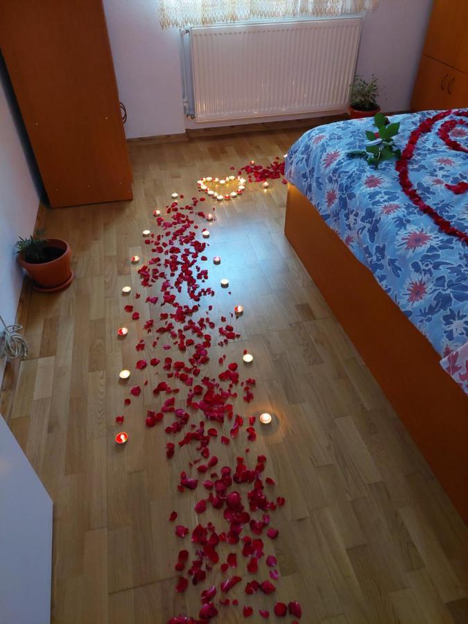 Apartament Ambrus 시기쇼아라 외부 사진