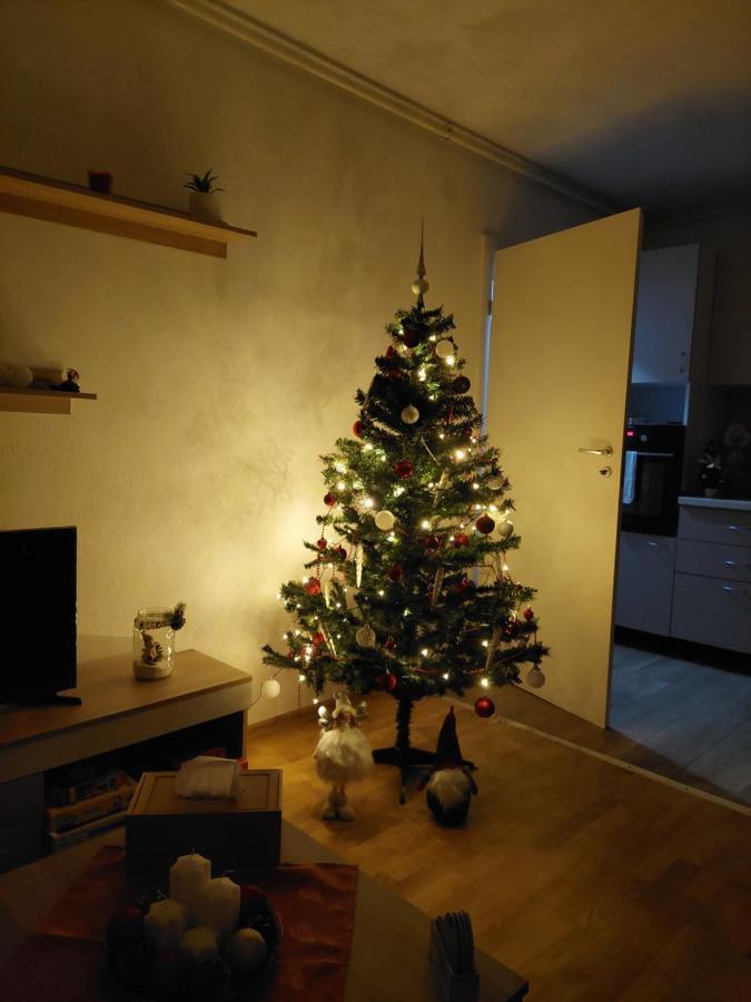 Apartament Ambrus 시기쇼아라 외부 사진